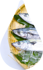 鰆