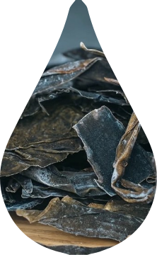 Raus kelp