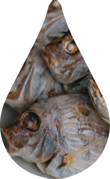 Dried sea bream