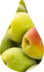 Japanese pickled plum